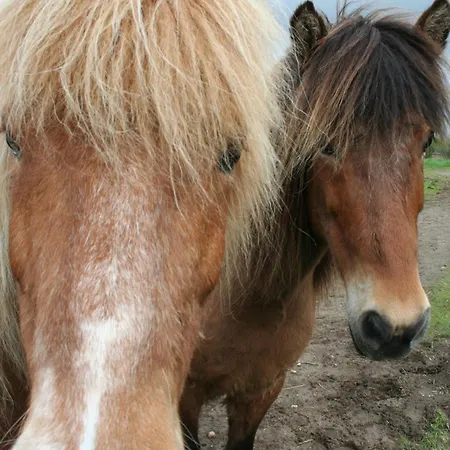 Grastenhus Casa de Férias