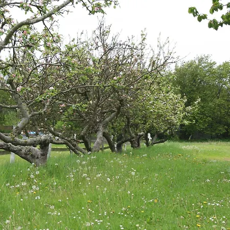 Grastenhus Thurø By